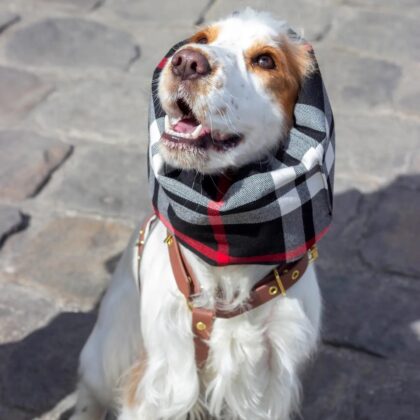 ATELIER MARKIZ - Snood OBAN
