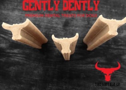 THE BUFFALO CO. - Stick dentaire GENTLY DENTALY