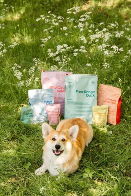 BUDDY PET FOODS - Croquettes FREE RANGE
