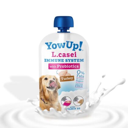 YOWUP - Yaourt IMMUNE SYSTEM