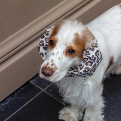 ATELIER MARKIZ - Snood CHEETAH