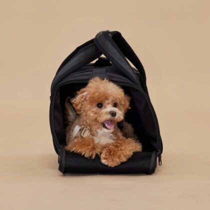 PUPS & BUBS - Sac de transport ONBOARD TRAVEL