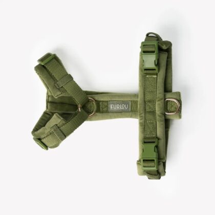 FURLOU - Harnais VELVET (green)