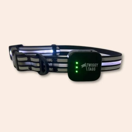 TWIGGY TAGS - Collier lumineux rechargeable