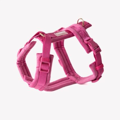 FURLOU - Harnais VELVET Magenta