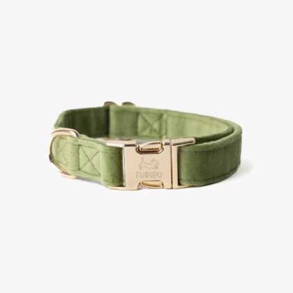 FURLOU - Collier VELVET green