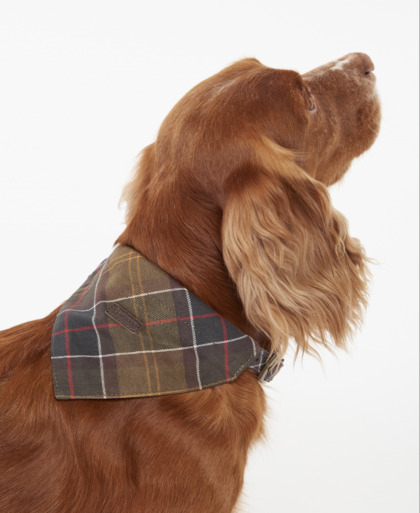 BARBOUR - Bandana tartan