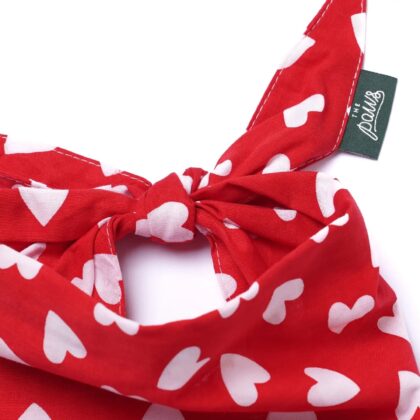 THE PAWS - Bandana NANA