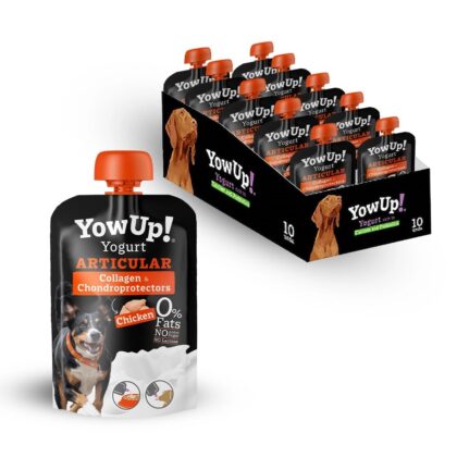 YOWUP - Yaourt au poulet
