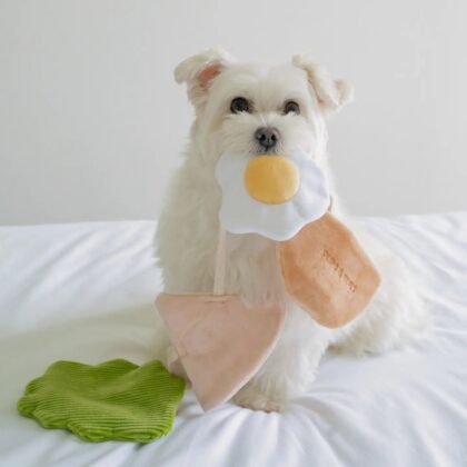 PUPS & BUBS - Jouet PITA