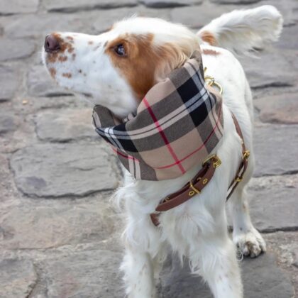 ATELIER MARKIZ - Snood LOGAN