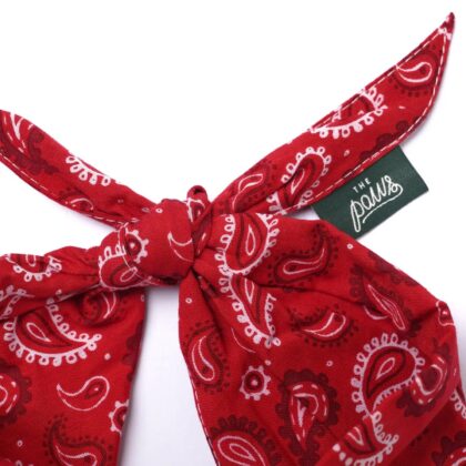 THE PAWS - Bandana DALLAS