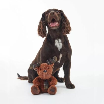 BARBOUR - Peluche RENNE