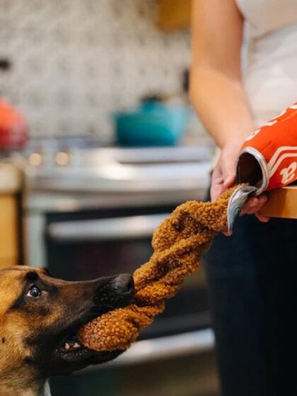PET PLAY - Jouet SNACK ATTACK COLA